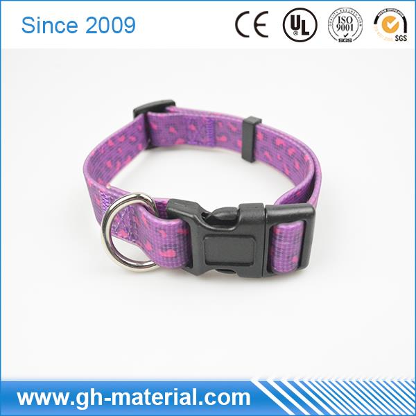dog leash-13.jpg